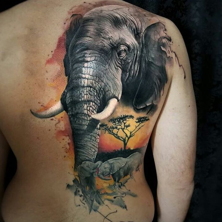 26158716_1596311057122215_3818047538972327936_n