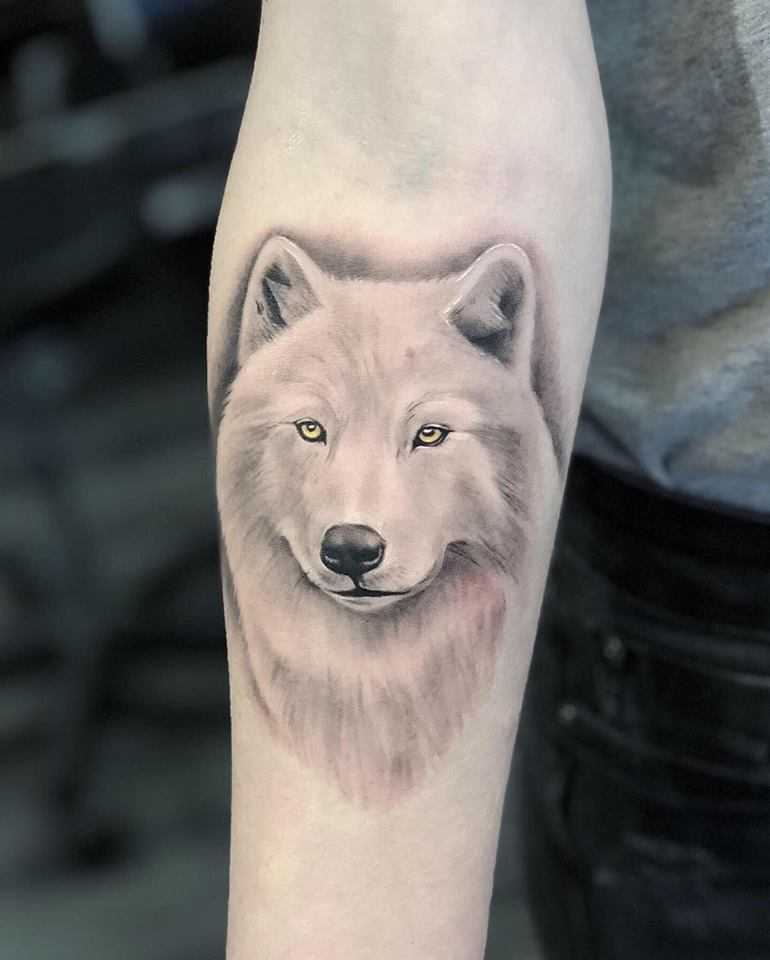 55536492_297508564251051_1630050409361965056_n