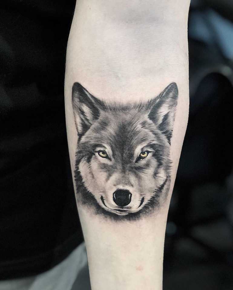 55621032_297508530917721_8834732953184501760_n